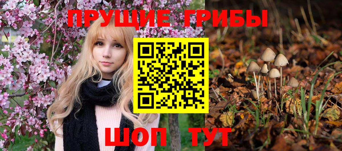 Псилоцибиновые грибы мухоморы Назрань