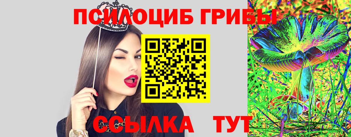 Назрань  Псилоцибиновые грибы MAGIC MUSHROOMS  Псилоцибиновые грибы мицелий  Вход с VPN 